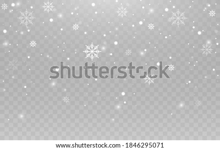 Vector snowflakes. Snowfall, snow. Snowflakes on an isolated background. PNG snow. Snow storm, Christmas snow. Vector image.