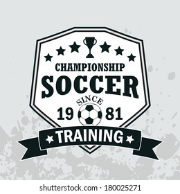 Vector soccer badge / Vector soccer labels / Soccer emblems / Football Soccer Club emblem / Vector Soccer ( T-shirt Printing Design ) 