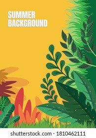 Vector of social media stories design templates, backgrounds with copy space for text - summer backgrounds for greeting card, poster,advertising,etc