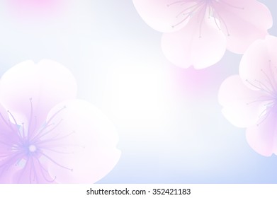 vector soft blur background with a delicate sakura flowers with copy space