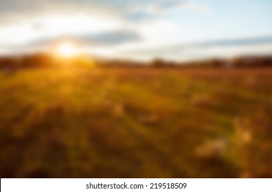 Vector soft blurry golden summer evening on the meadow on mountains , rural summer backgrounds