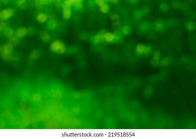 Vector soft blurry green background