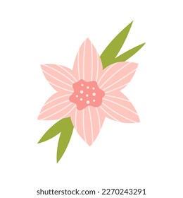 Vector soft striped flower with stamens. Elegance pink lily in flat design. Delicate blossom lily flower in soft pink color. Bouquet. Botanical illustration.