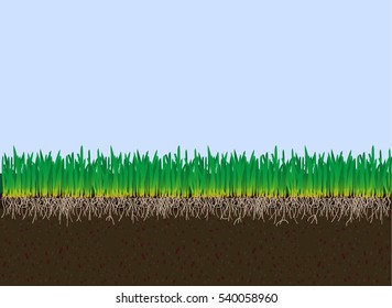 Vector Soil And Grass. Cutaway