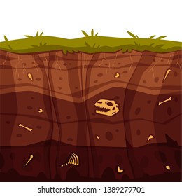 Vector Soil Ground Layers With Grass, Underground Fossil Dinosaur Bones Texture. Subterranean Landscape For Game Map Design. Layered Earth Surface, Geological Natural Clay.