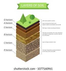 Vector Soil Layers isometric diagram. Underground soil layers diagram.