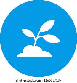 vector soil plant icon