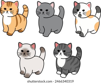 vector of some cats color combination in common