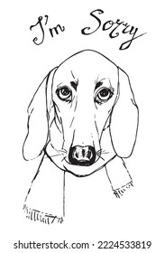 Vector sorry Dachshund portrait. Hand drawing sketch.