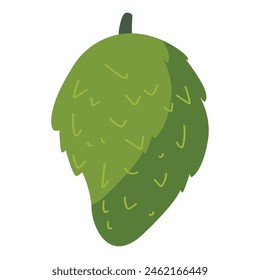 Vector soursop fruit vector illustration, buah sirsak or sirsat image, cartoon graviola or guanabana fruit isolated on white background, guyabano or annona muricata