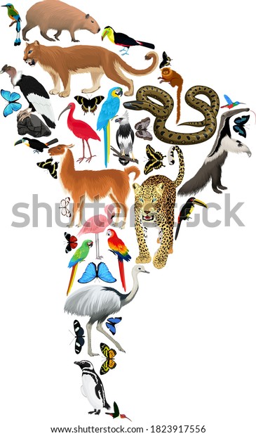 Vector South America Fauna Map Flat Stock Vector (royalty Free) 1823917556