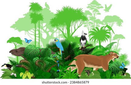 Vector South America tropical jungle rainforest illustration with animals.	