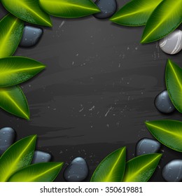 vector spa background with tropical flowers on black