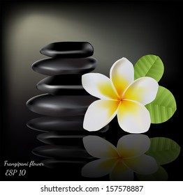 Vector spa set with frangipani flower and stones on dark background