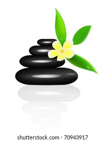Vector spa stones and frangipani isolated on white background