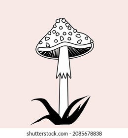 Vector space the mushroom. Minimalistic object made in style of one line. Magic mushrooms. Amanita.