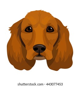 Vector spaniel