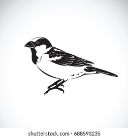 Vector of sparrow design on white background. Bird Icon