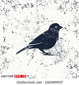 vector sparrow on grunge background