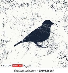 vector sparrow on grunge background