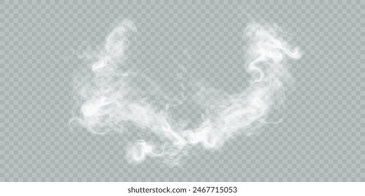 Vector special effect of steam, smoke, fog, clouds. Abstract gas on a transparent background, steam engine, steam or explosive dust, dry ice effect, condensation, smoke. Vector 10 EPS