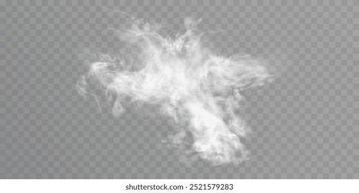 Vector special effect of steam, smoke, fog, clouds. Abstract gas on a transparent background, steam engine, steam or explosive dust, dry ice effect, condensation, smoke. Vector