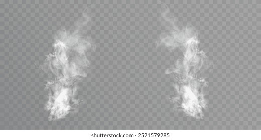 Vector special effect of steam, smoke, fog, clouds. Abstract gas on a transparent background, steam engine, steam or explosive dust, dry ice effect, condensation, smoke. Vector