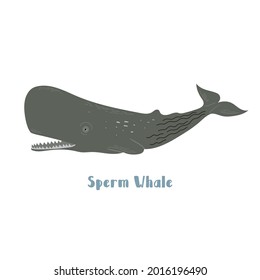 Vector sperm whale. Cartoon illustration on white background for sticker, design