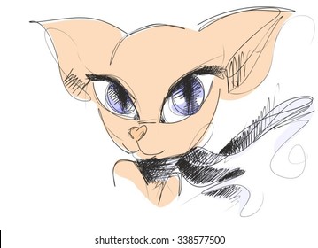  VECTOR  sphinx, cat, breed, bald, pink, animal, pet, siamese,