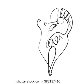 VECTOR,  sphinx, cat, breed, bald, pink, animal, pet, siamese,