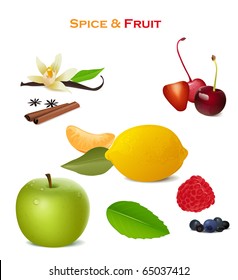 vector spice, fruit and green leaves