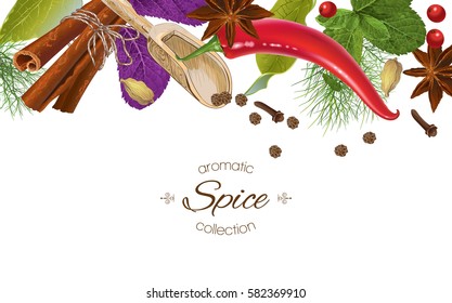 Vector spice horizontal banner with various seasonings on white background. Red chili peppers, bay leaves, cinnamon and other spices. Design for packaging, spice shop, recipe web site, cooking book