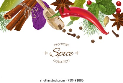 Vector spice horizontal border with various seasonings on white background. Red chili peppers, bay leaves, cinnamon and other spices. Design for packaging, spice shop, recipe web site, cooking book