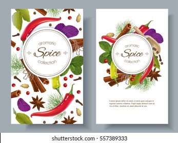 Vector Spice banners verticais com vários temperos em fundo branco. Pimentas vermelhas, folhas de louro, canela e outras especiarias. Design para embalagens, loja de especiarias, site de receitas, livro de culinária