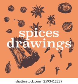 Vector spices drawings in hand-drawn style. Natural paper texture. Organic spice illustrations - clove icon, peppercorns symbol, star anise sketch, nutmeg, ginger root sign, cinnamon, cardamom