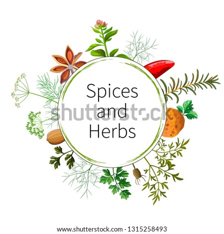 Vector Spices and Herbs in the circle