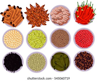 Vector Spices Set colección de colchas de canela fevernutmeg laurel cardamom vainilla rosa mostaza de pimienta blanca chile caliente estrella de clove anís saludable concepto de comida desayuno almuerzo y cena comidas