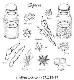 Vector spices sketch