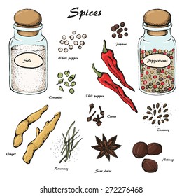 Vector spices sketch 