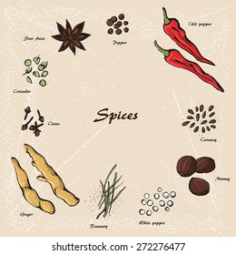 Vector spices sketch