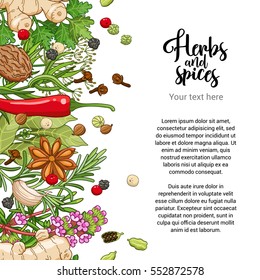 Vector spicy card design with spices and herbs. Decorative colorful background with type design. Seamless border with text template