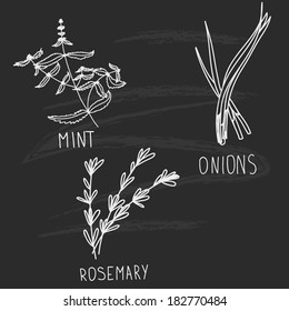 Vector illustratio? with spicy herbs on chalkboard: mint, onions and rosemary