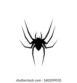 vector spider, black spider image with a simple concept.
