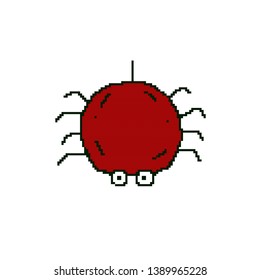 vector spider concept in pixel art
