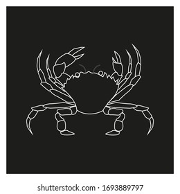vector spider crab on white background