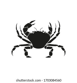 vector spider crab on white background