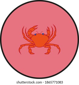 vector spider crab on white background