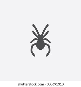 Vector Spider Icon