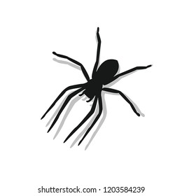 Vector Spider illustration