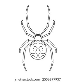 Vector Spider Insect Cartoon Illustration Isolated